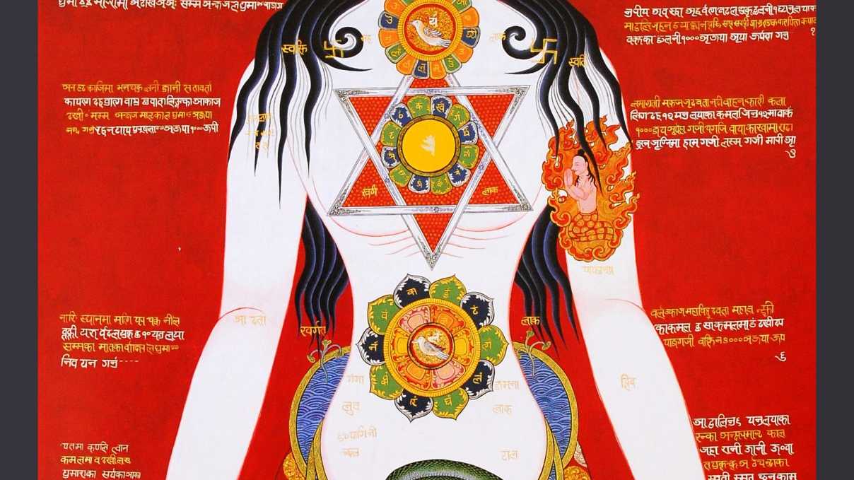 Les différences entre le Hatha yoga et le yoga Iyengar