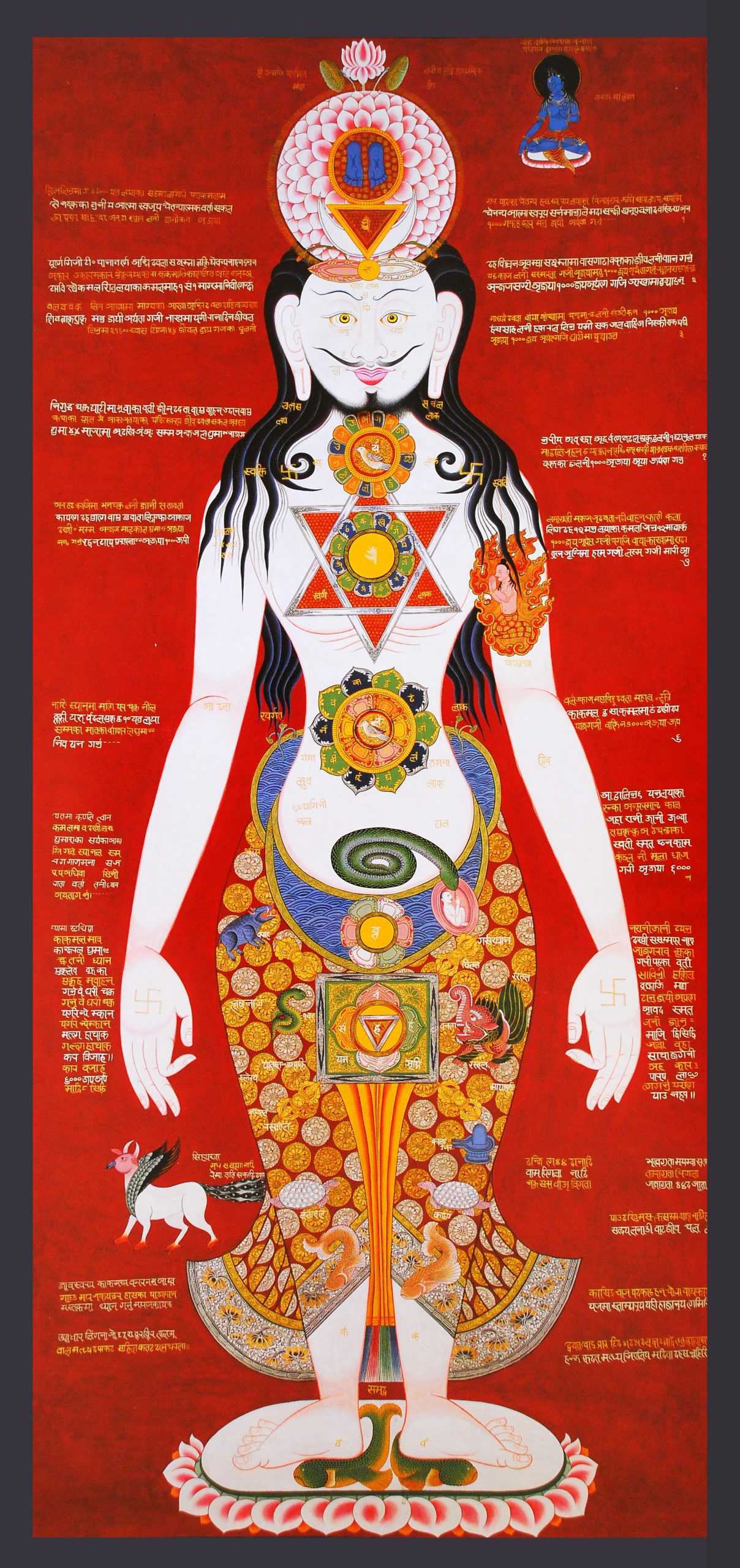 Les différences entre le Hatha yoga et le yoga Iyengar